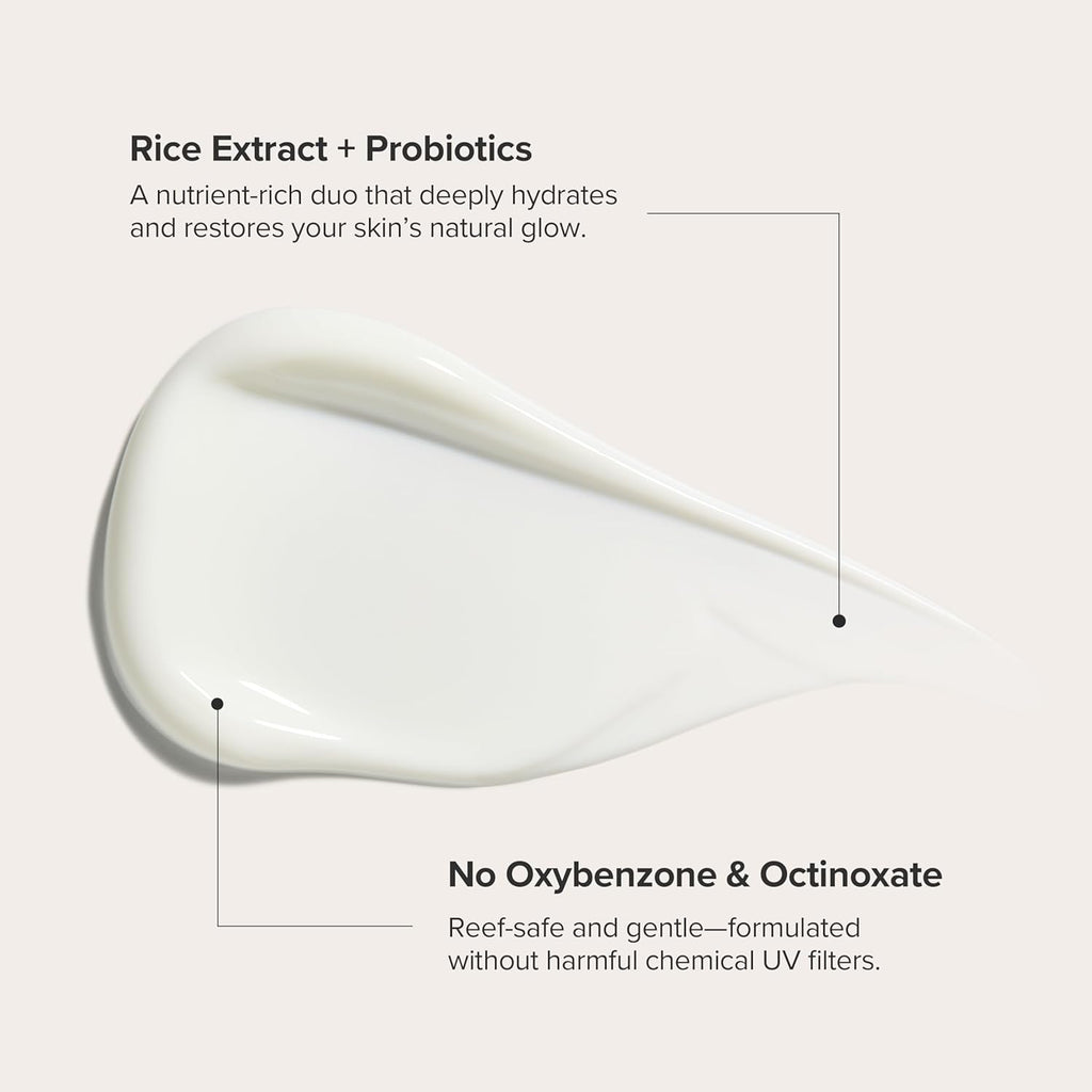 جمال جوسون - نقش الشمس المصغر